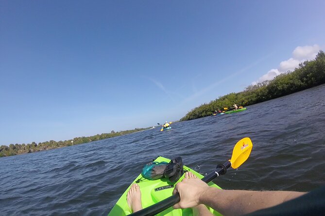 Kayaking the Canals of Venice, FL - Activity Details