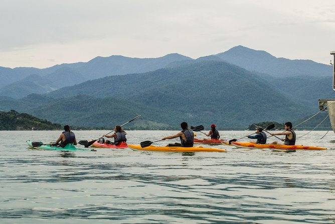 Kayaking to the Islands & Mangroves in Paraty - Wildlife Spotting Opportunities