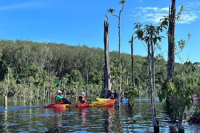 Kayaking Tour at Klong Root (Crystal Lake), Krabi - Good To Know