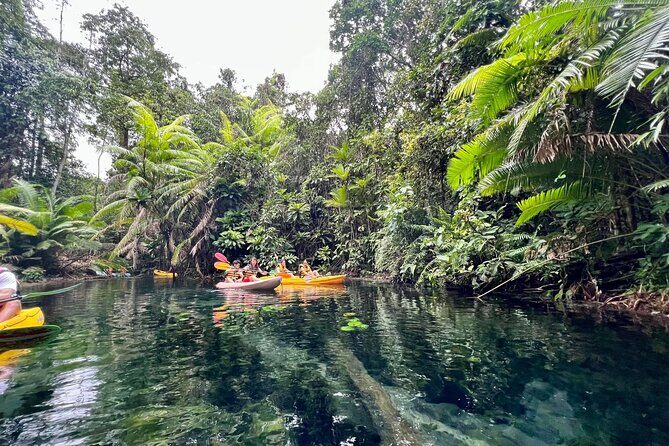 Kayaking Tour at Klong Root (Crystal Lake), Krabi - The Authenticity and Experience: What Travelers Say