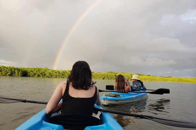 Kayaking Tour Chiriqui - Tour Details and Requirements