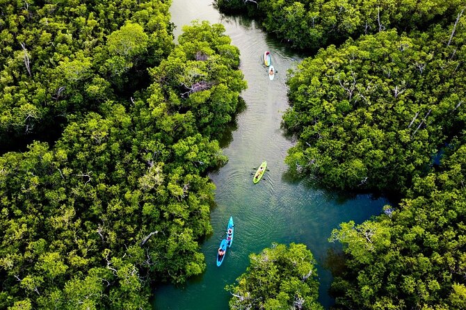 Kayaking Tour in Cancun - Traveler Photos