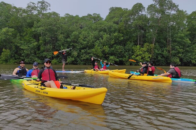 Kayaking Tour in Gandoca Lagoon Throug Mangrove Forest - Tour Overview