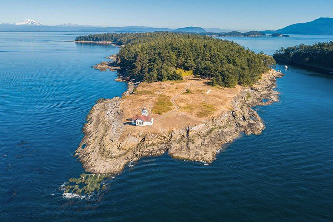 Kayaking Tour in The San Juan Islands, Washington - Kayaking Experience