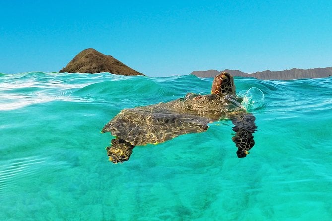 Kayaking Tour of Kailua Bay With Lunch, Oahu - Cancellation Policy