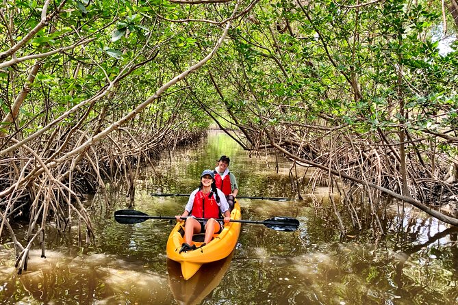 Kayaking Tour of Mangrove Tunnels in South Florida  - Fort Lauderdale - Price and Booking
