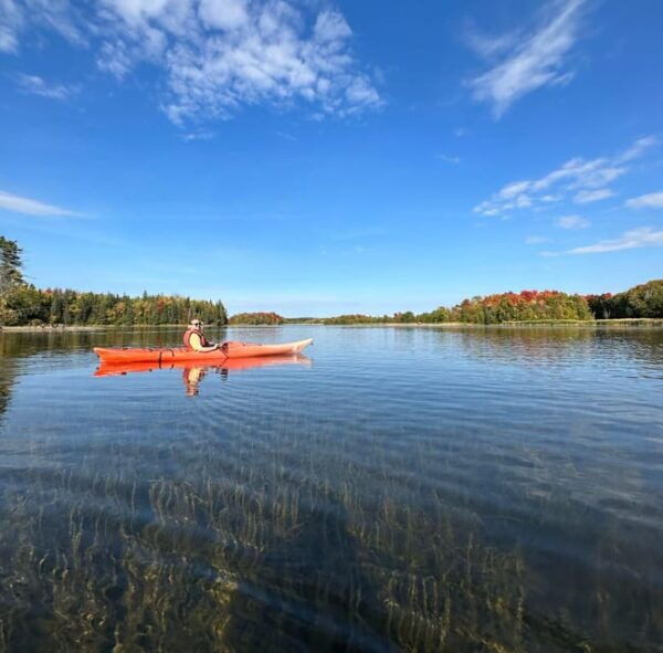 Kayaking Tour on Island Lake From Toronto on RV - Motorhome - Starting Location