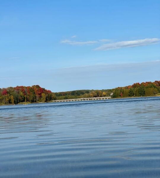 Kayaking Tour on Island Lake From Toronto on RV - Motorhome - Wildlife Sightings