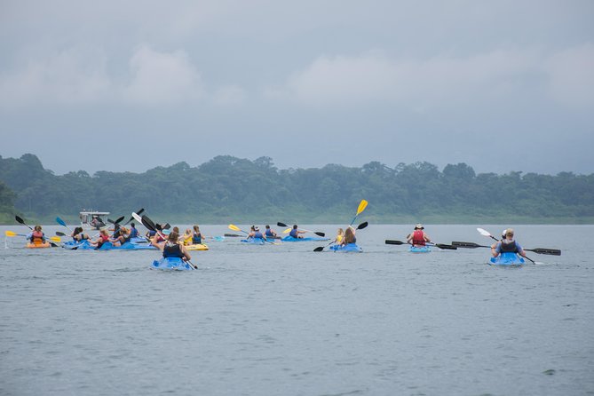 Kayaking Tour on Lake Arenal - Paddling Techniques