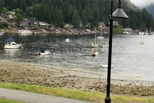 Kayaking Vancouver Tour - Group Type and Accessibility
