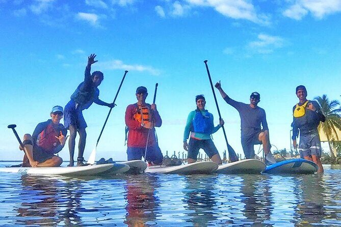 Kayaking with coastal wildlife in Sarasota Bay - Good To Know