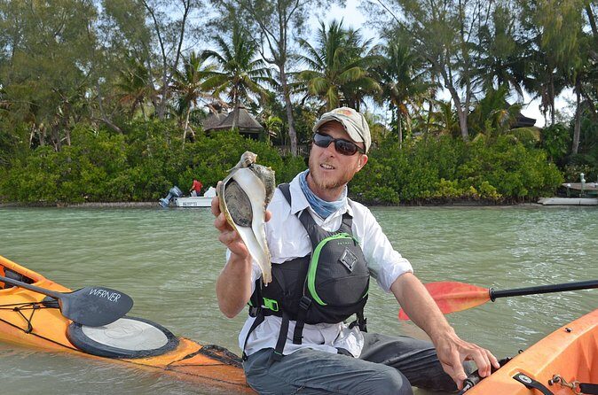 Kayaking with coastal wildlife in Sarasota Bay - Who Will Love This Tour?