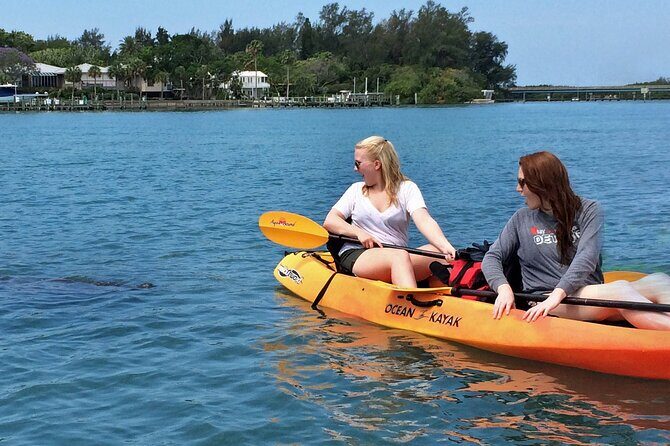 Kayaking with coastal wildlife in Sarasota Bay - The Sum Up