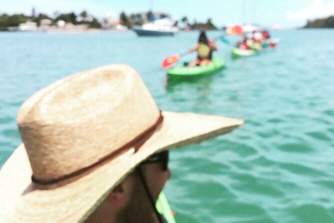 Kayaking with coastal wildlife in Sarasota Bay - FAQ