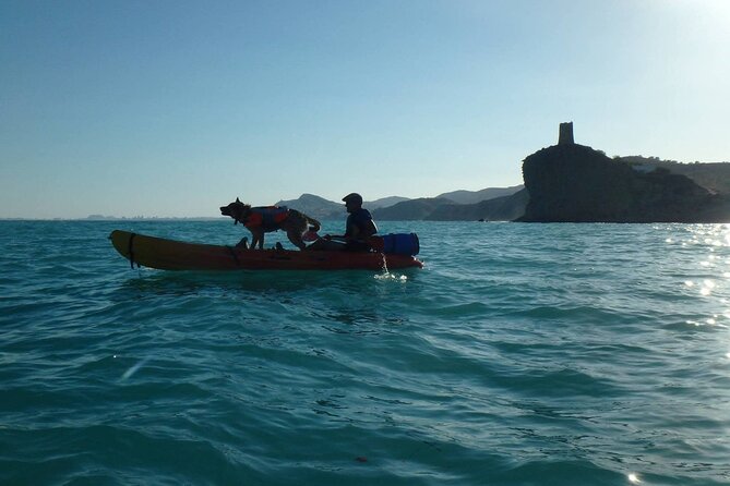 Kayaking With Dogs - Directions and Expectations