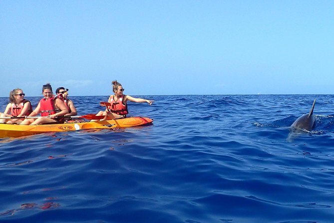Kayaking With Dolphins and Turtles and Snorkelling in Tenerife - Customer Reviews