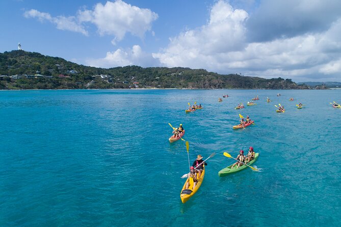 Kayaking With Dolphins in Byron Bay Guided Tour - Friendly and Professional Staff