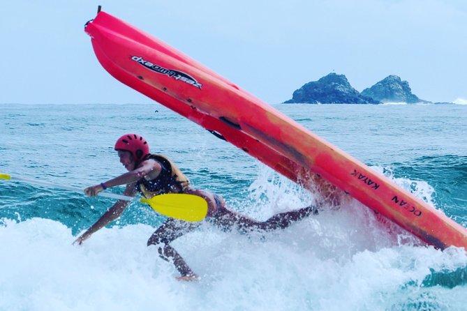 Kayaking With Dolphins in Byron Bay Guided Tour - The Sum Up