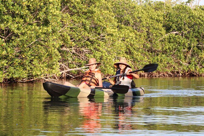 Kayaks at the Mangroves Lagoon Ecosystem from Cancun - Introduction: Why Choose This Kayaking Tour?