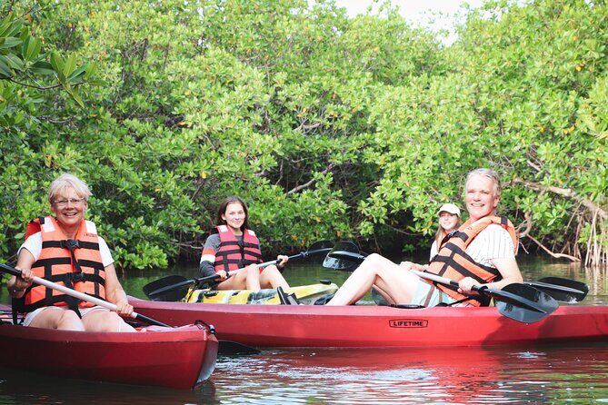 Kayaks at the Mangroves Lagoon Ecosystem from Cancun - Pricing & Value Analysis