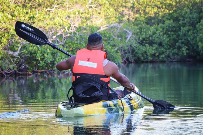 Kayaks at the Mangroves Lagoon Ecosystem from Cancun - Who Is This Tour Best For?