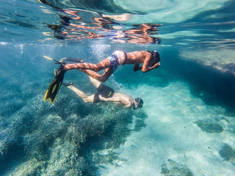 Kayak&Snorkel Tour - The Secret of the Posidonia - The Experience in Detail