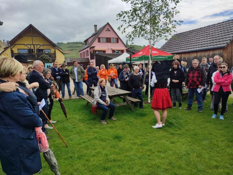 Kaysersberg Vineyard Discovery of the vineyard and wine, Domaine Meyer-Krumb - The Sum Up