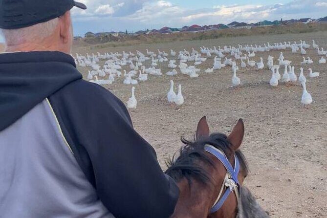 Kazakh Horseback Hunting and Yurt Dinner - Final Thoughts