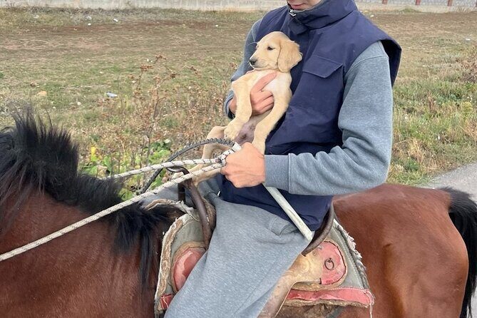Kazakh Horseback Hunting and Yurt Dinner - Good To Know