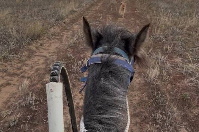 Kazakh Horseback Hunting and Yurt Dinner - Additional Information and Practicalities