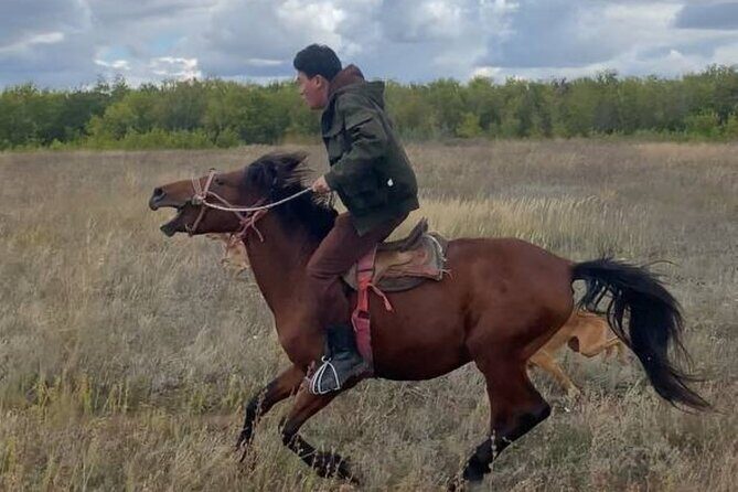Kazakh Horseback Hunting and Yurt Dinner - Final Thoughts