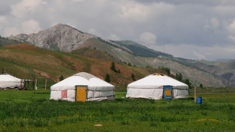 Kazakhstan & Kyrgyzstan Multi-Day Private Nature Discovery - Meals, menus, and the practical language gap