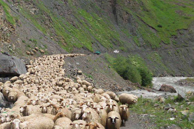 Kazbegi Day Trip - Directions