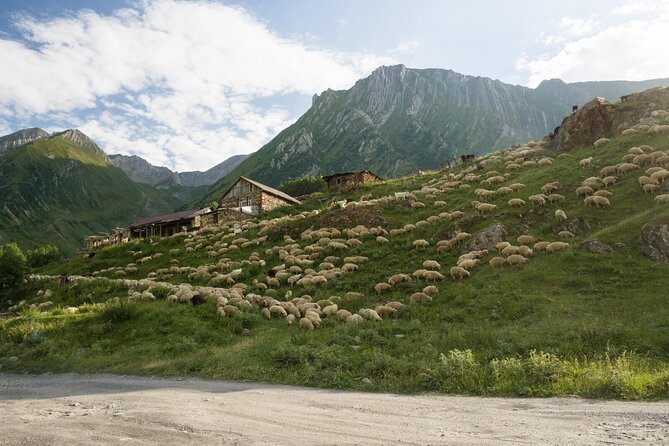 Kazbegi - One Day Private Trekking Tour to Truso Valley - Meeting and Pickup Information