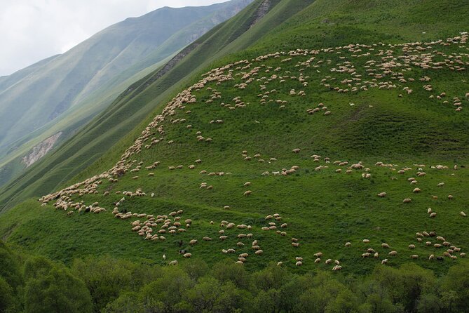 Kazbegi - One Day Private Trekking Tour to Truso Valley - Additional Details