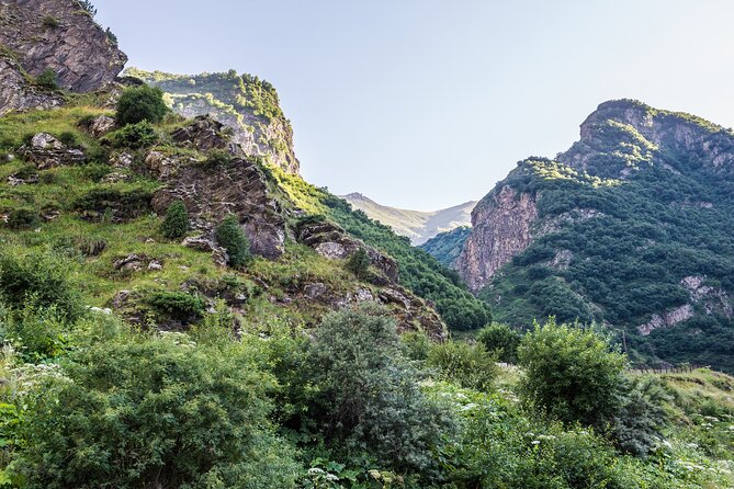 Kazbegi Peaks and Valleys: A Journey Through Natural Wonders - Wildlife Encounters and Flora