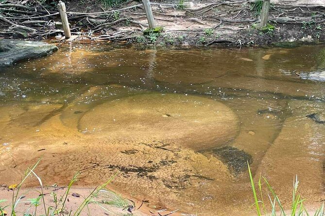 Kbal Spean Lingar River, Banteay Srei Temple & Pre Rup Tour - Customer Reviews