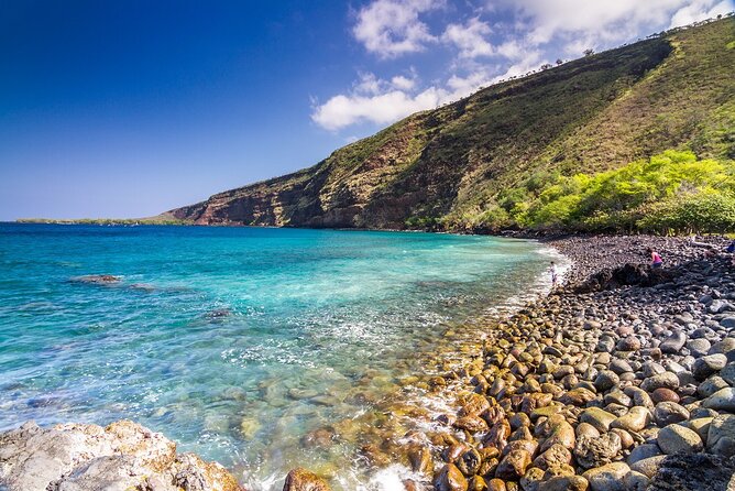 Kealakekua Bay and Captain Cook Monument Snorkel - Small-Group Experience - Overview and Details
