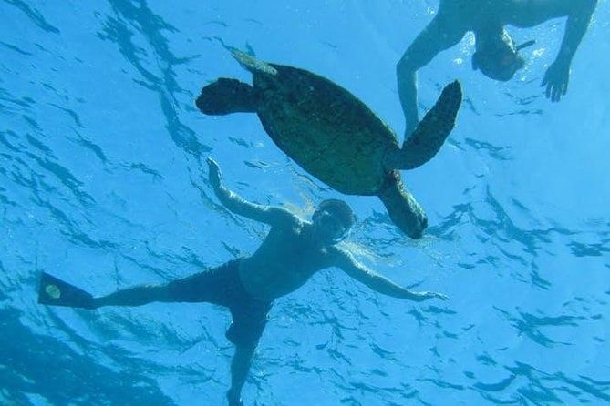 Kealakekua Bay Captain Cook Snorkel Exclusive - Overview of Kealakekua Bay