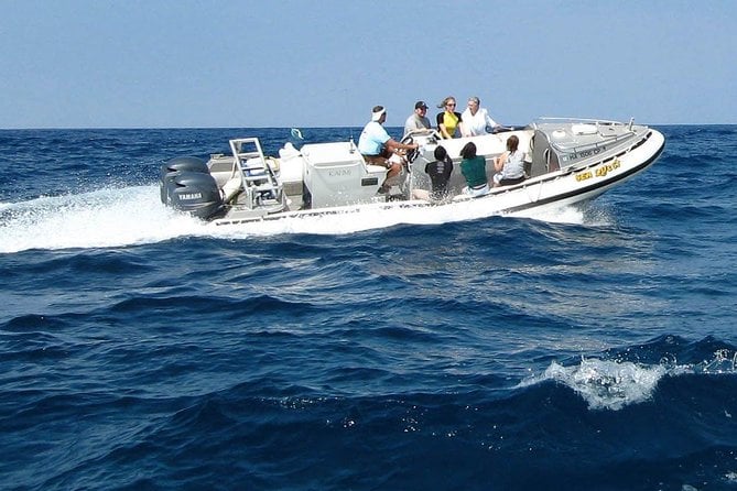 Kealakekua Bay Captain Cook Snorkel Exclusive - Captain and Crew, Viator Information
