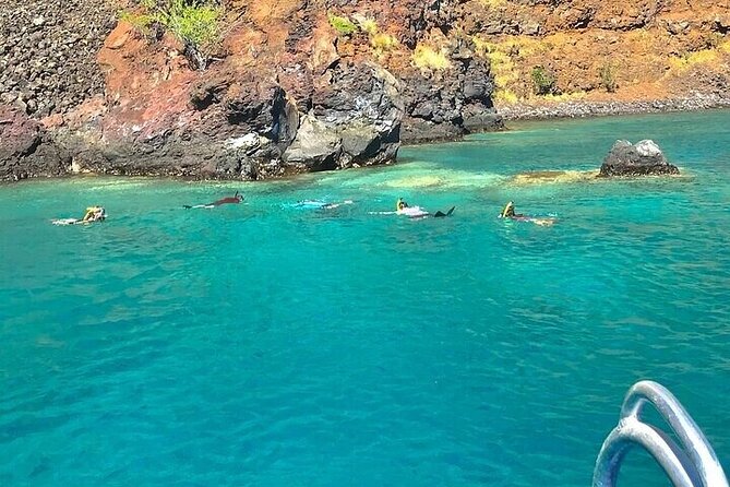 Kealakekua Bay / Captain Cook Snorkel Tour in Kona, Big Island - Traveler Photos