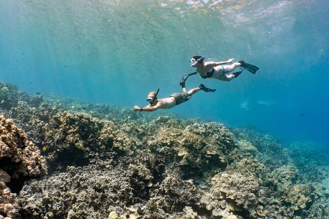 Kealakekua Bay Snorkel - Cancellation Policy