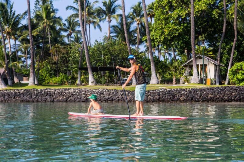 Kealakekua Bay: Stand-Up Paddleboard Lesson or Tour - The Bottom Line: Is It Worth It?