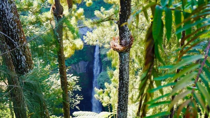 Kedung Kayang Waterfall and Merapi Jeep Lava Tour - FAQs