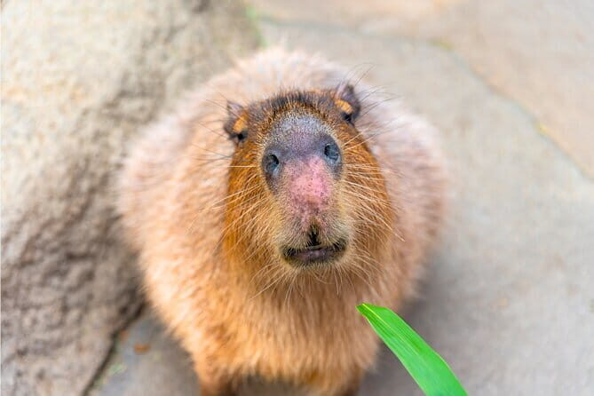 Keelung Port Cruise Tour from Taipei - Why This Tour is a Great Choice