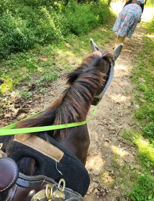 Keeneland: Horseback Riding Experience with Guide - Why This Tour Stands Out
