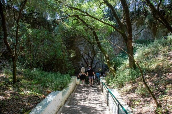 Kefalonia Adventures - Mystical Caves and Coastal Beauties - Common Questions