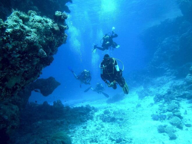 Kefalonia: Beginner Scuba Diving at Agia Efimia Village - Important Information and Restrictions
