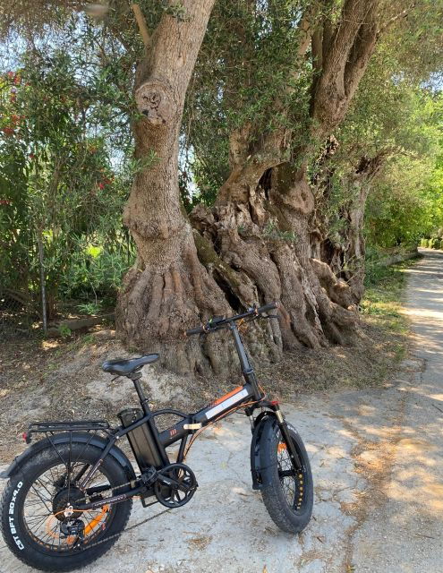 Kefalonia Farm Tour on E-Bikes - Good To Know