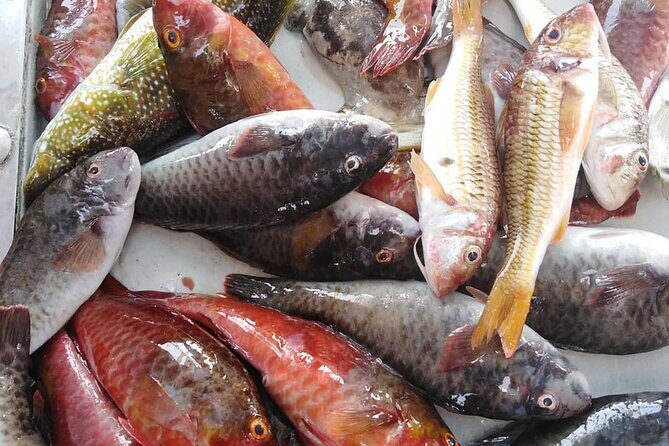 Kefalonia Fishing Tour: Tradition, Flavors & Turquoise Seas - FAQ